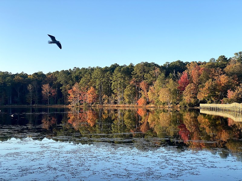 Newport News Paved Trailhead