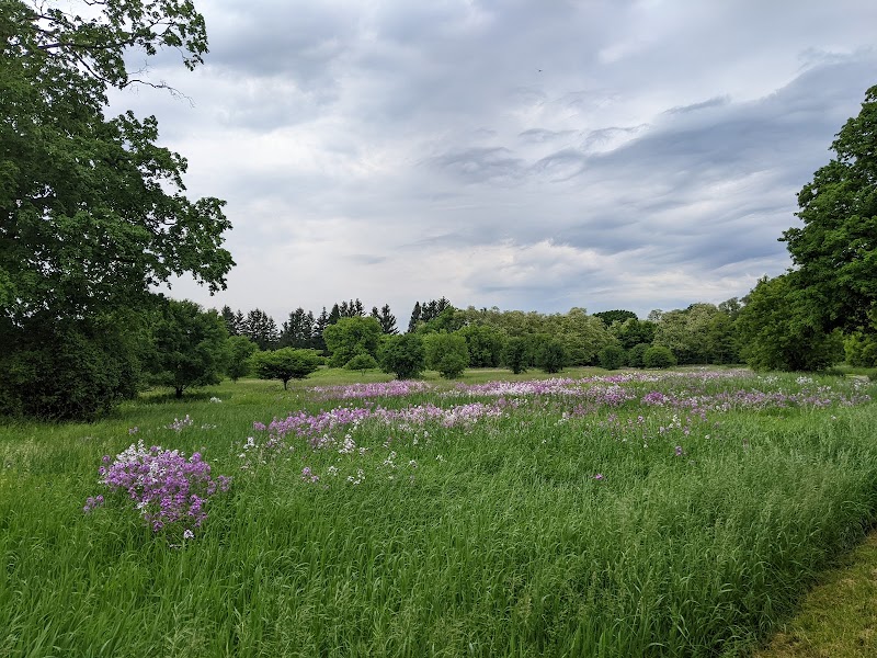 Kiwanis Dog Park