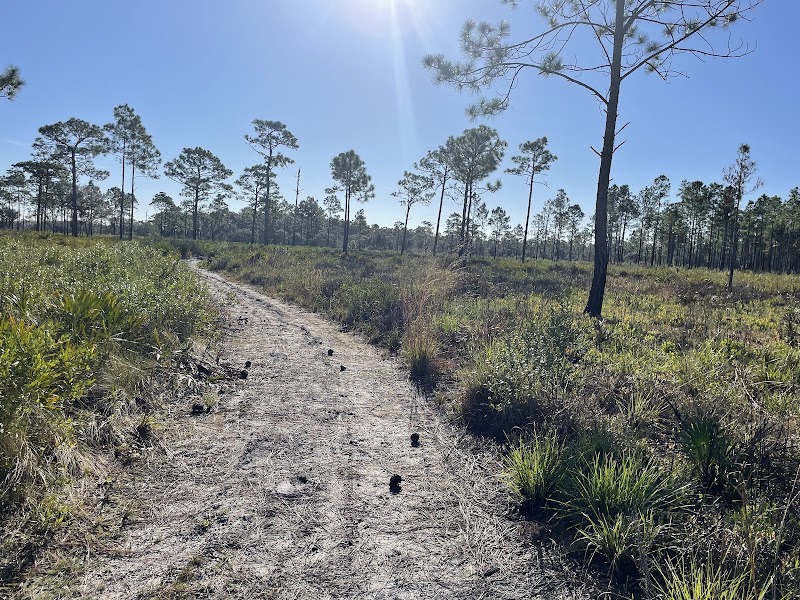 Isle of Pine Preserve Trailhead
