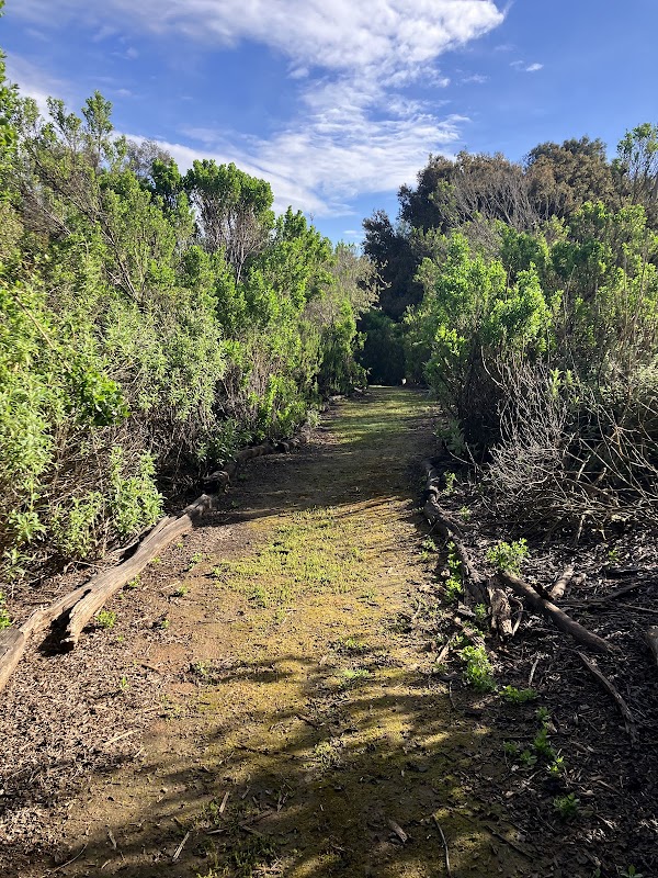 Anstine-Audubon Nature Preserve