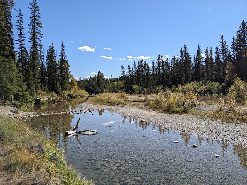Bebo Grove - Fish Creek Provincial Park