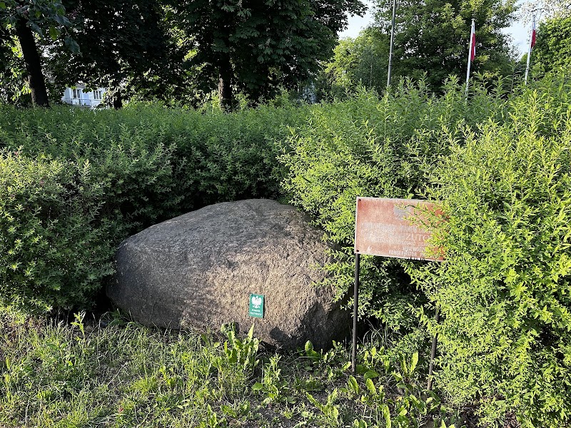 Głaz narzutowy - pomnik przyrody