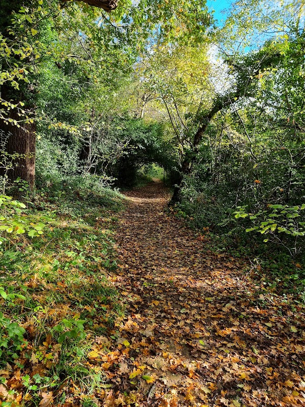 North End Nature Park