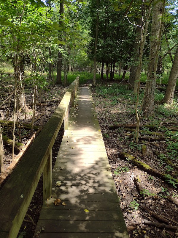 Dauner Martin Nature Preserve West Entrance