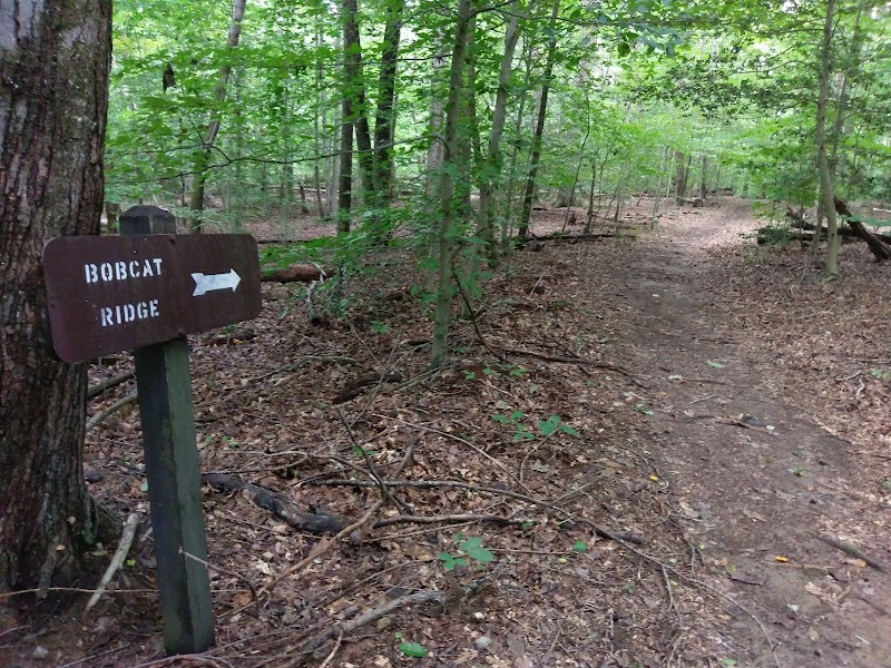 Chopawamsic Backcountry Area