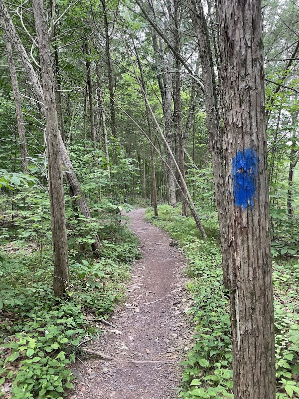 Green Lane Park - Blue Trail