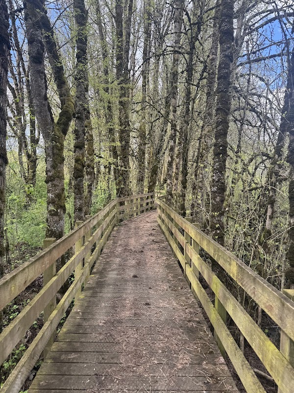 Pintail/Egret Boardwalk