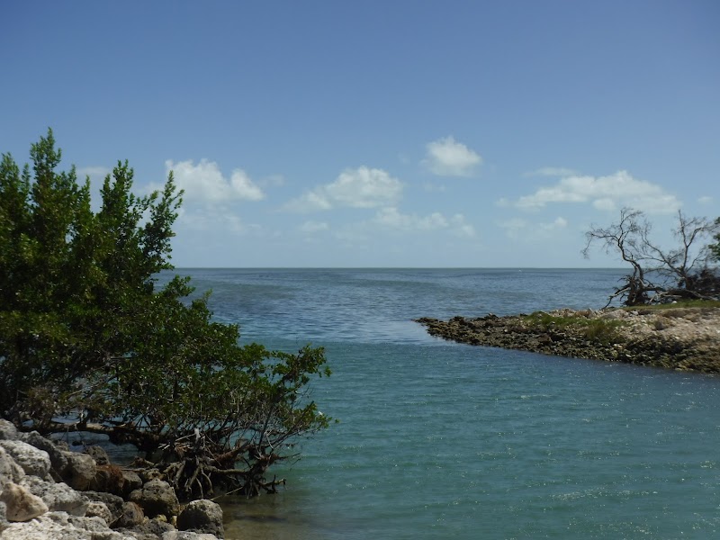 Mangrove Preserve