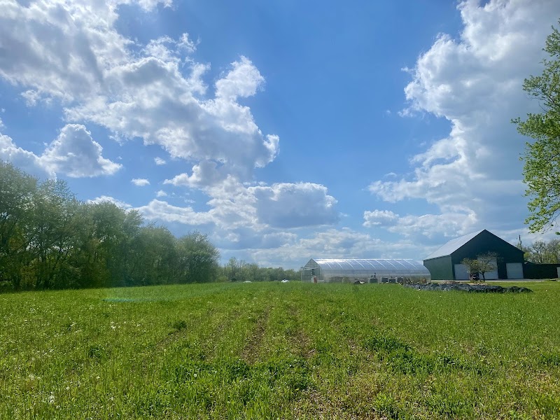 Seed Leaf Headwater Farms