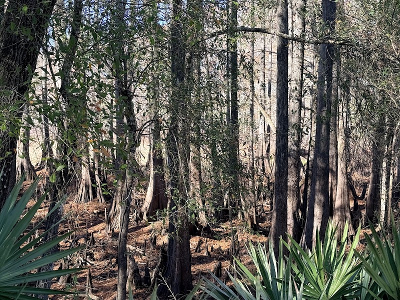 Cypress Lake Preserve Trailhead
