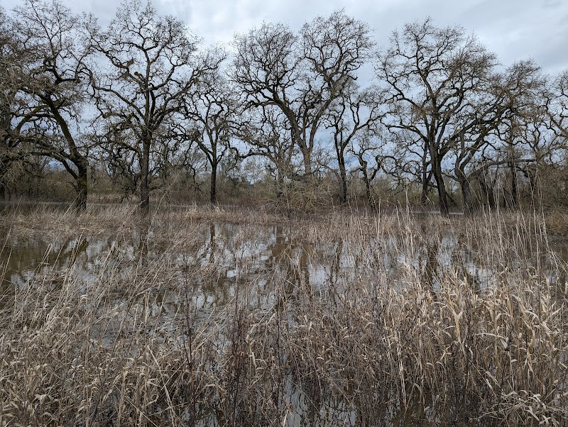 Laguna Wetlands Preserve