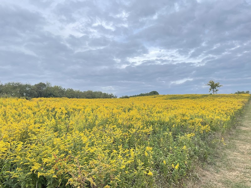 Latodami Nature Center Trailhead