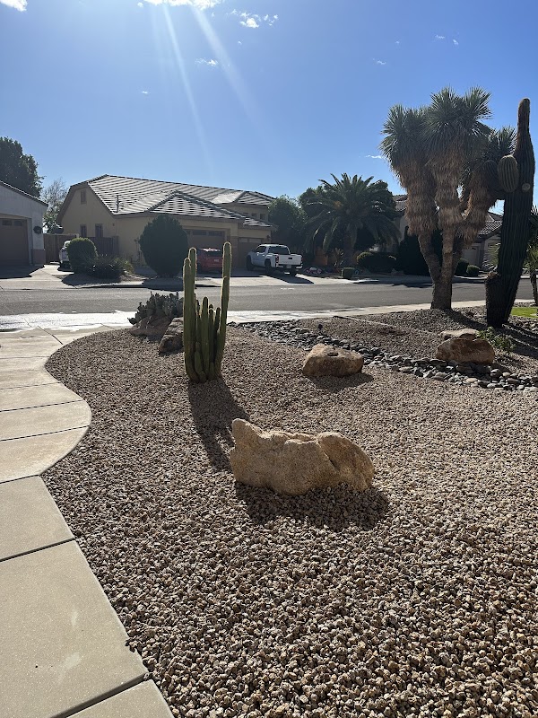 AZ Cactus Experts