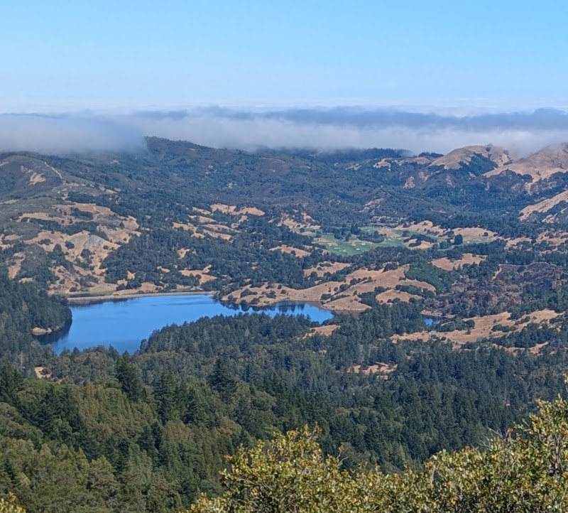 Mount Tamalpais Watershed