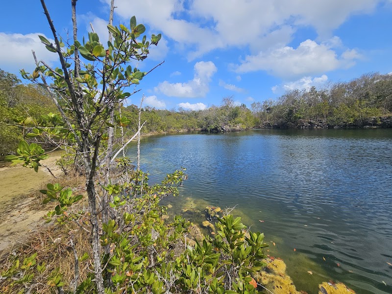 Port Bougainville Trailhead and Dagny Johnson Key Largo Hammock Botanical State Park entrance