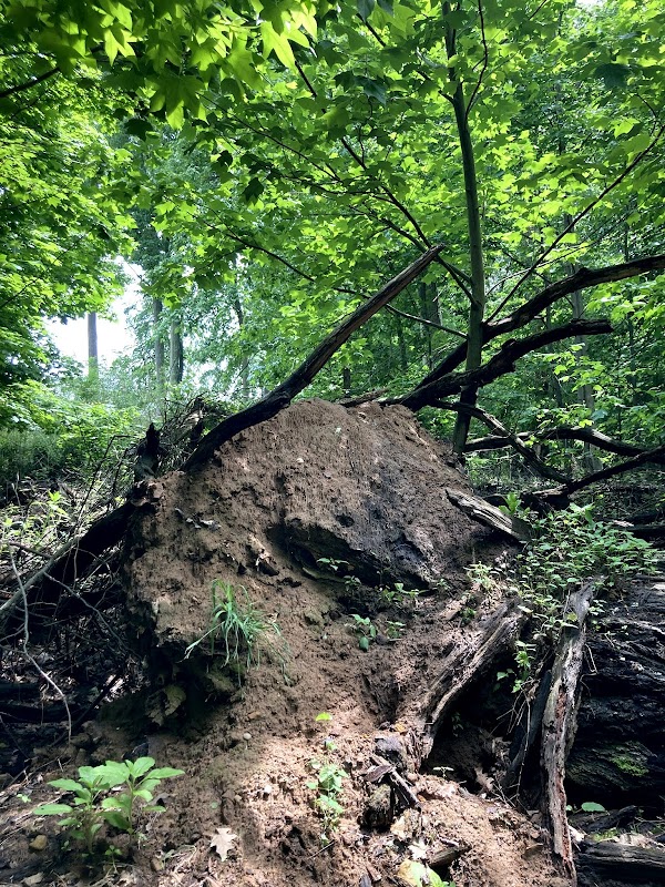 Churchill Nature Preserve