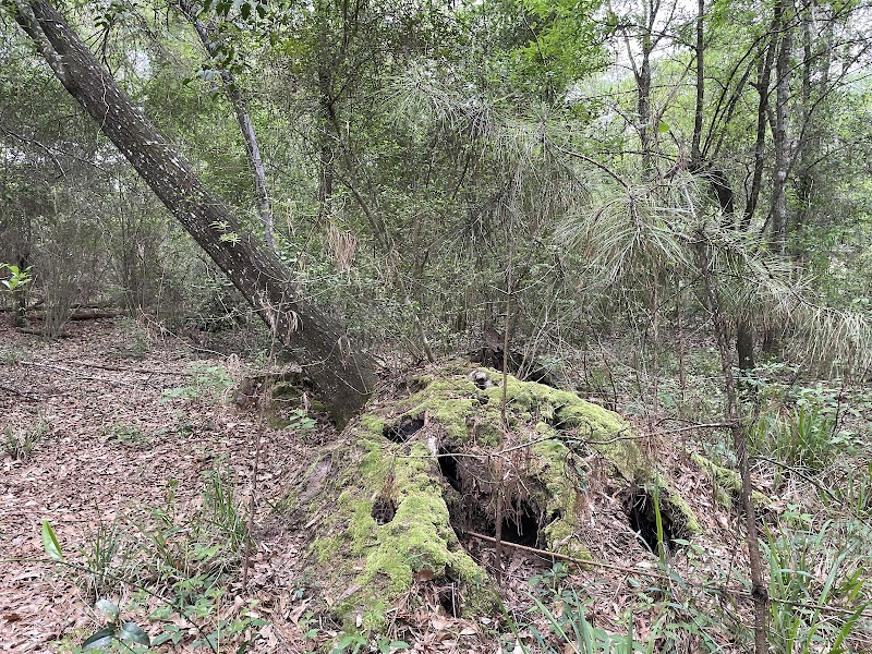 Logger's Hollow Park