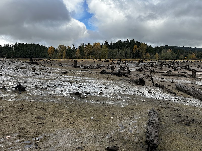 Geese Island