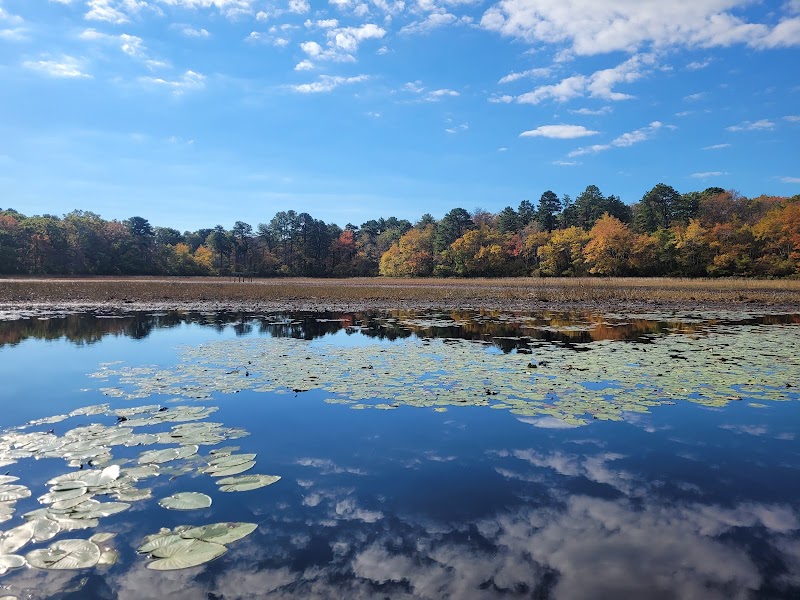 Calverton Ponds Preserve