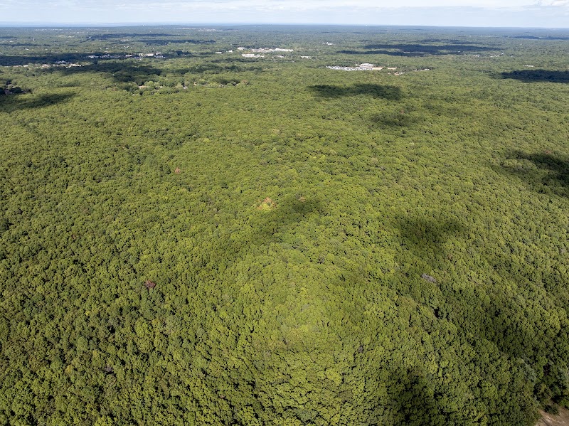 Glacier Ridge Preserve