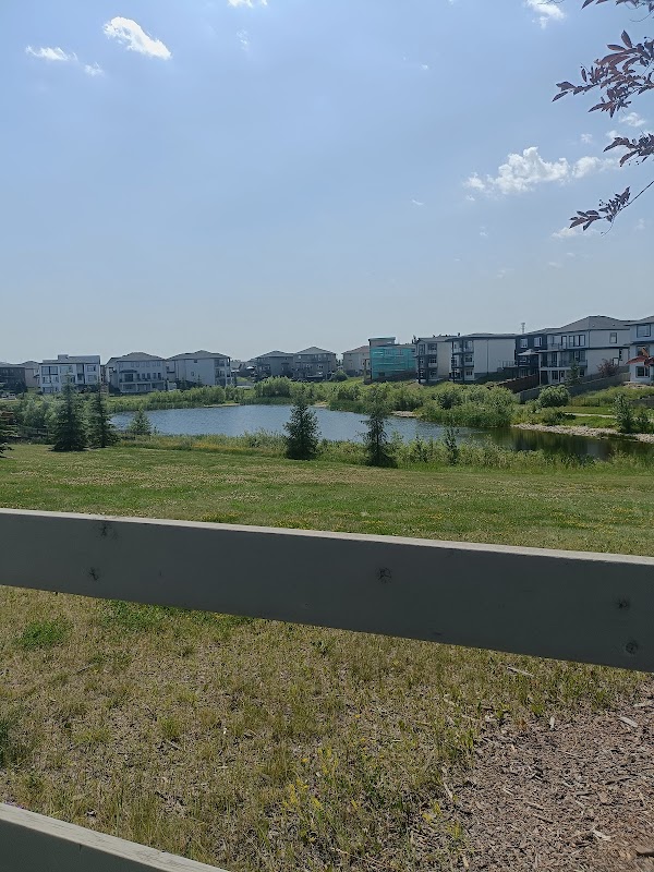Fraser Way Pond