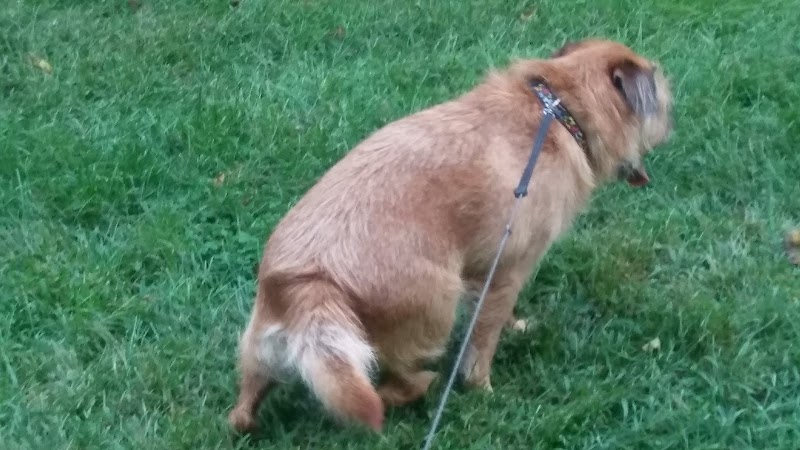 Shabakunk Creek Park