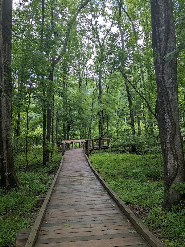 Stevens Creek Nature Preserve - Hooks Road Trail Access
