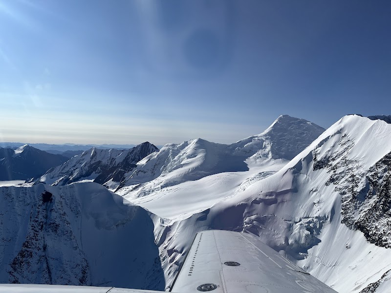 Denali Adventure Tours