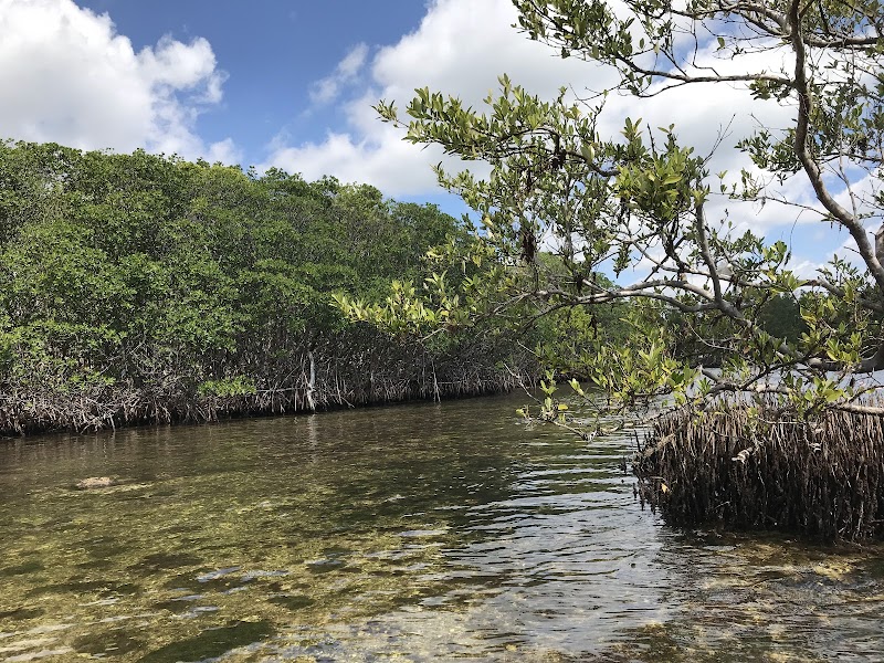 Chapman Field Park flag football