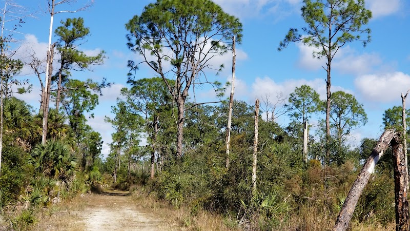Pine Lake Preserve