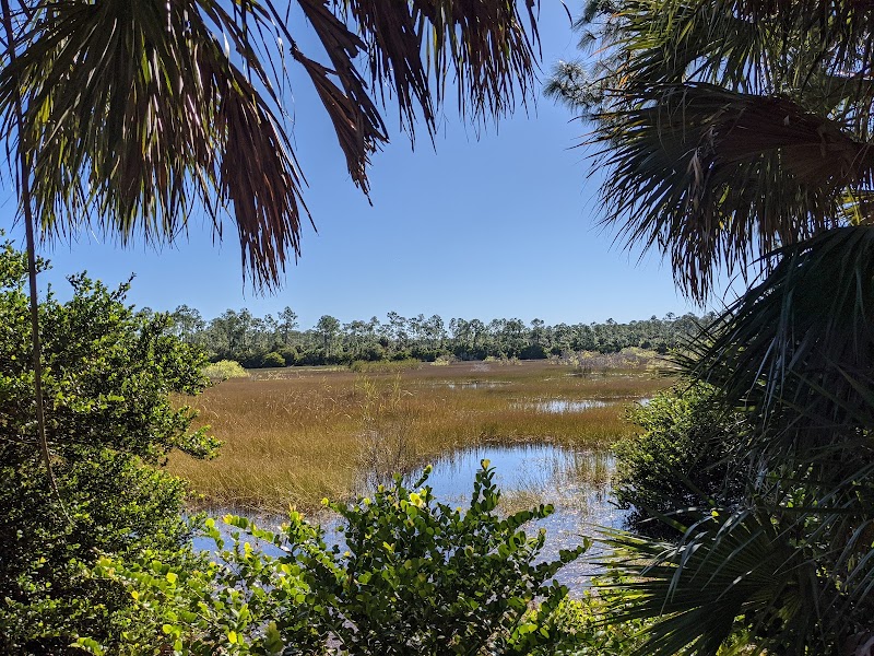 Pine Lake Preserve
