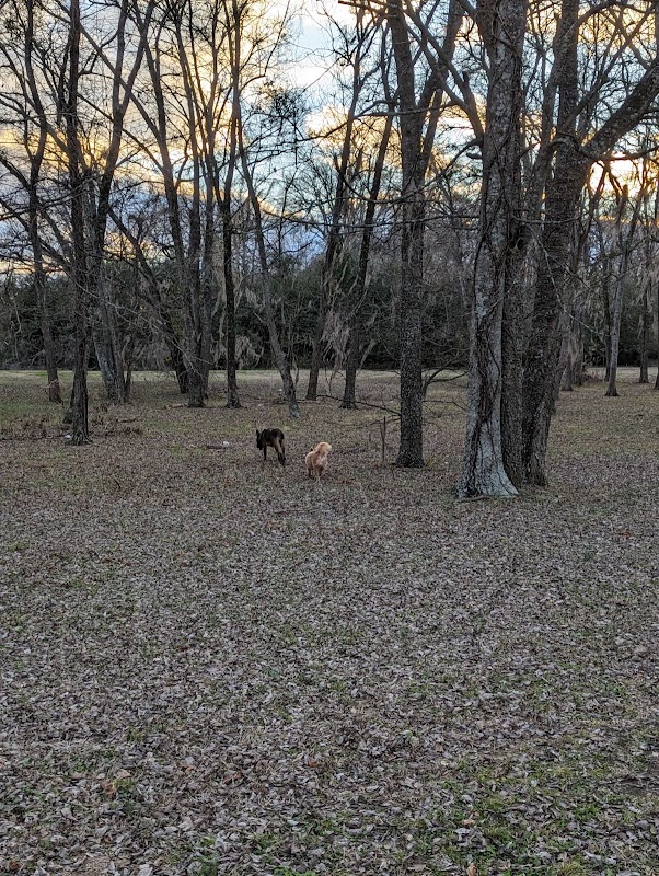 Virginia Estates Park