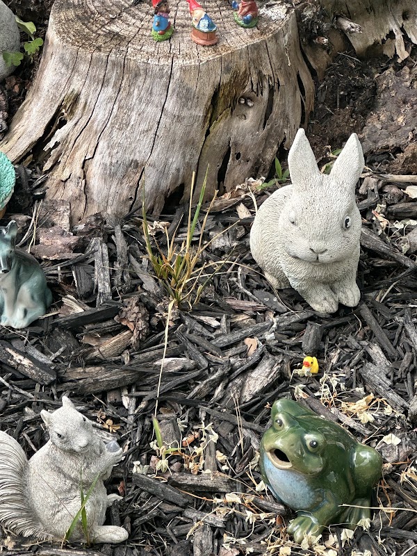 Madonna Lane Gnome Refuge