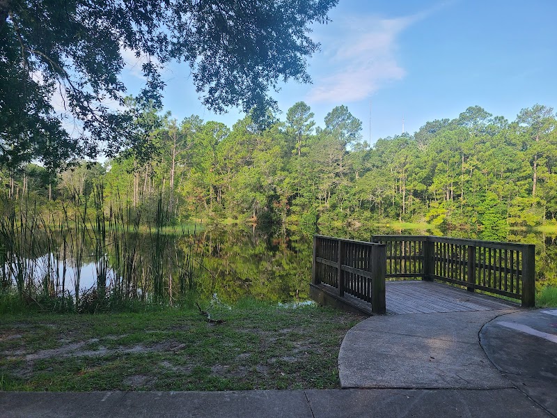 The Beach and Peach Urban Bike Park