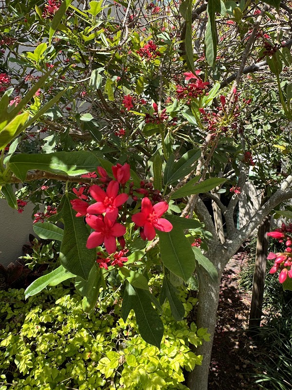 Pinellas Park Leisure Services