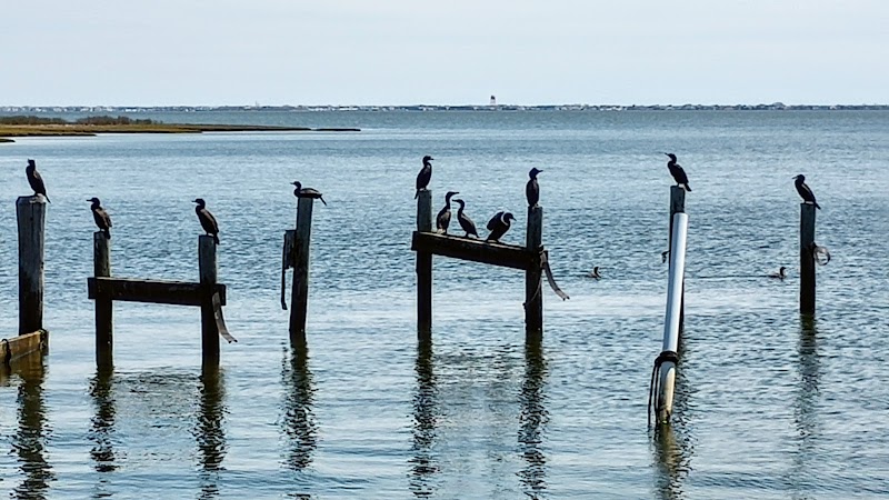 South Green Street Park