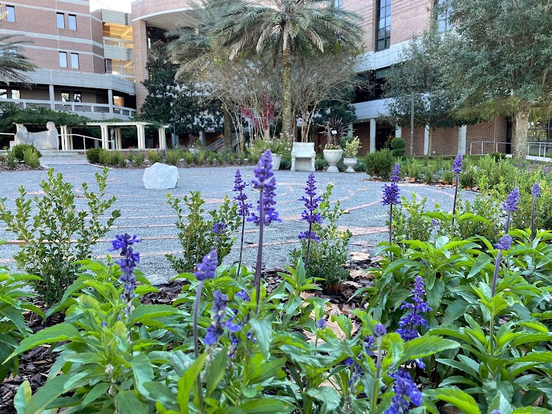 UNF Botanical Garden