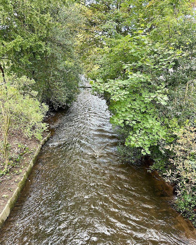 River bollin