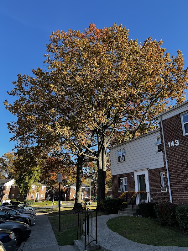 John M. Lafferty Park