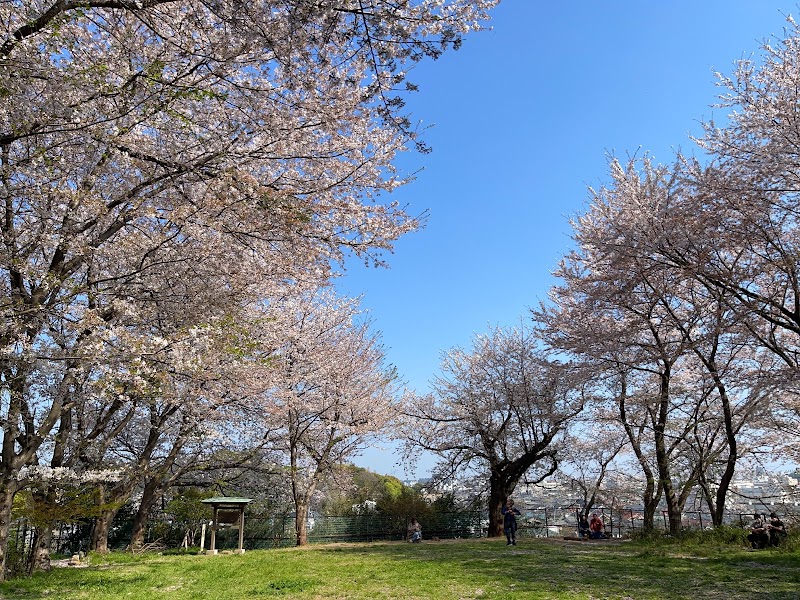 Square for Moon Viewing