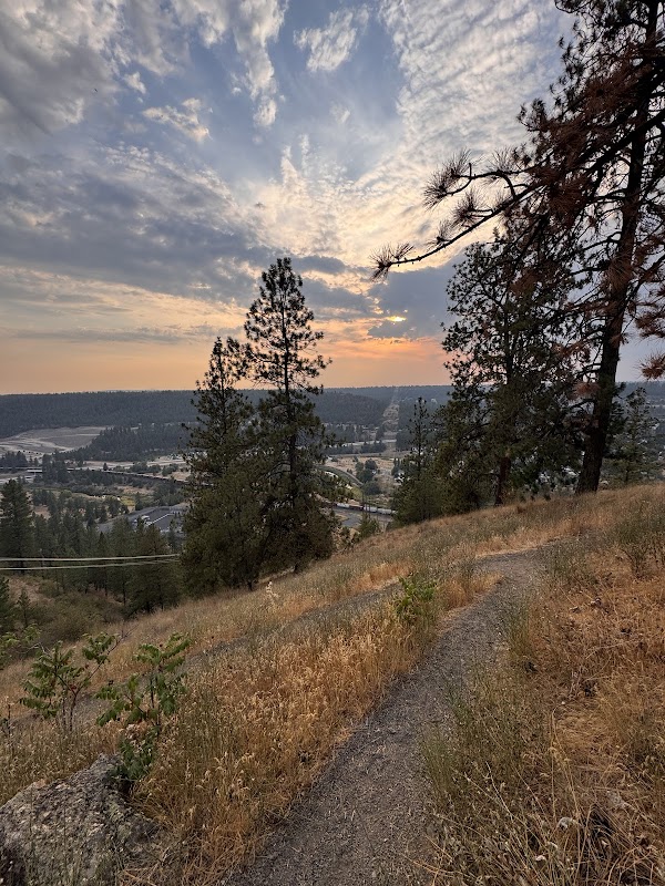 Spokane City View point