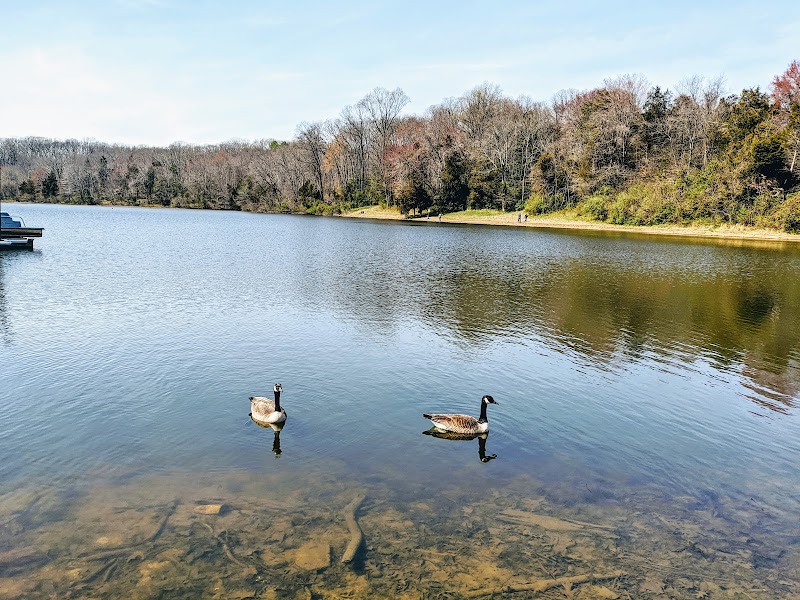Lake Fairfax Park, Shelter J