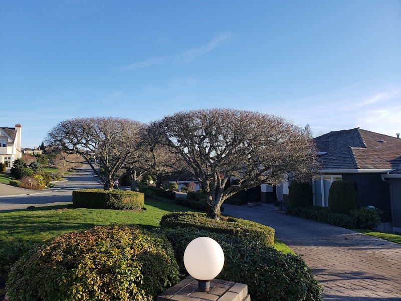 Lakemont Highlands Neighborhood Park