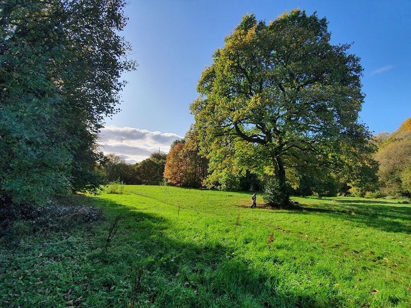 Longsight Park