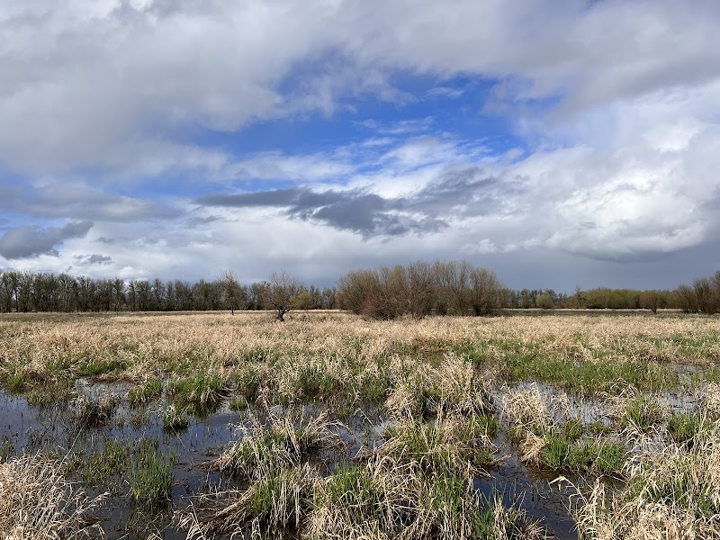 Ridgefield National Wildlife Refuge Auto Tour Start