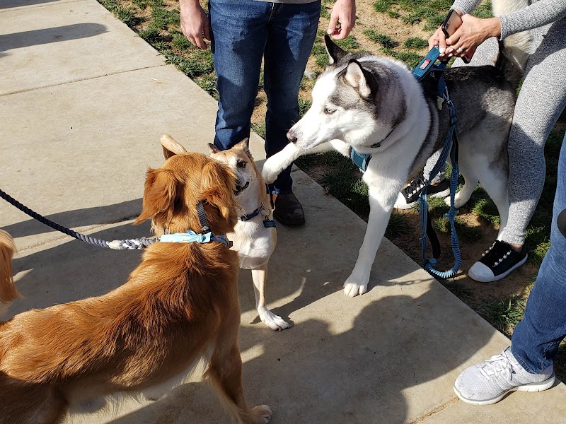 Harborview / Seaside Village Dog Park