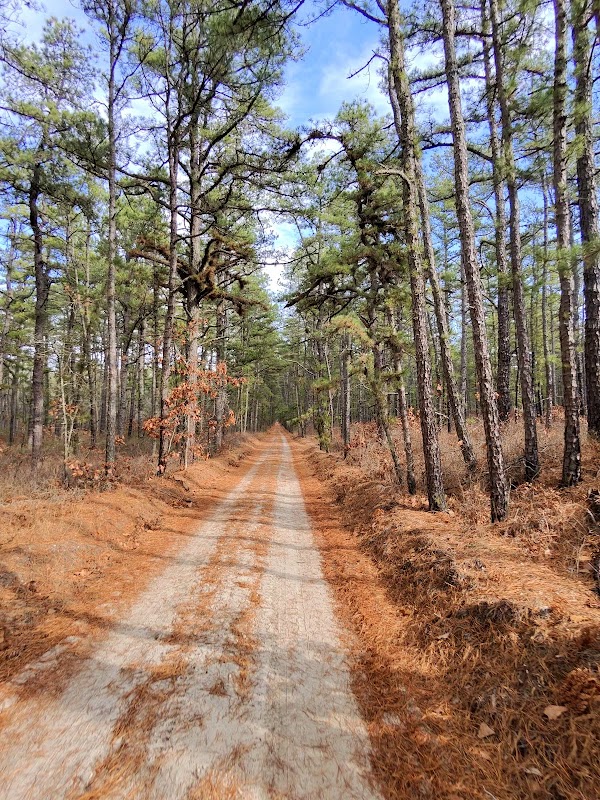 Marilyn Beard Trailhead Park