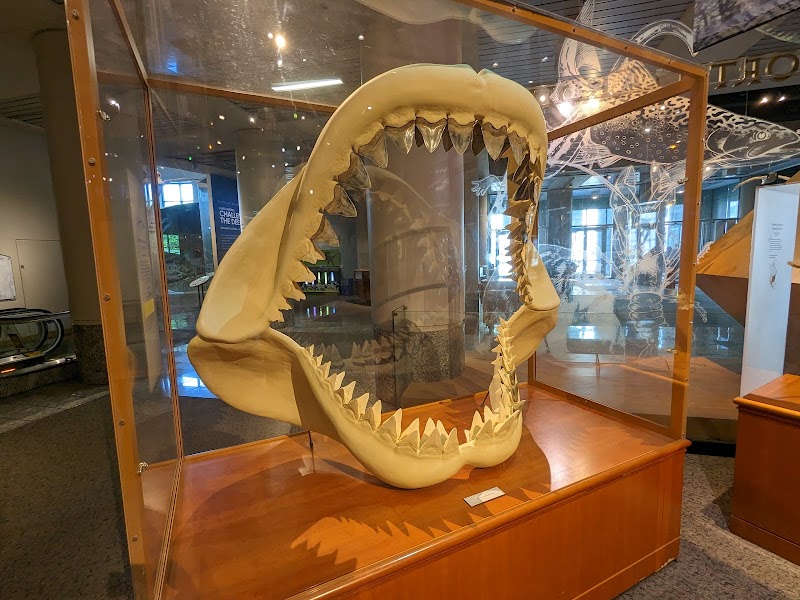 North Carolina Museum of Natural Sciences