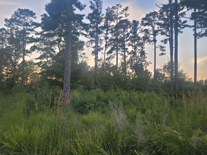 Piedmont Prairie Trail - McDowell Nature Preserve
