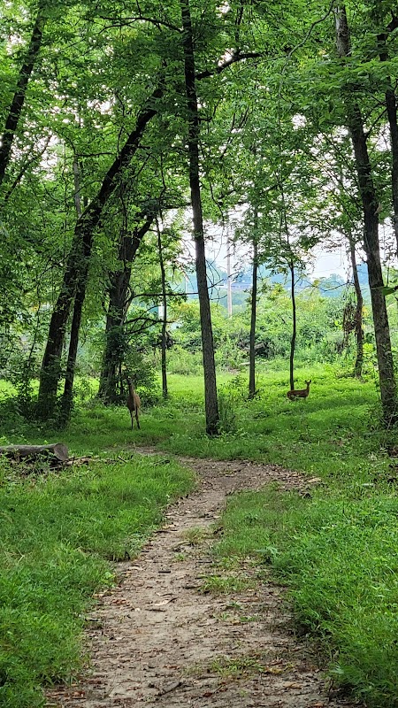 Cliffview Natural Area